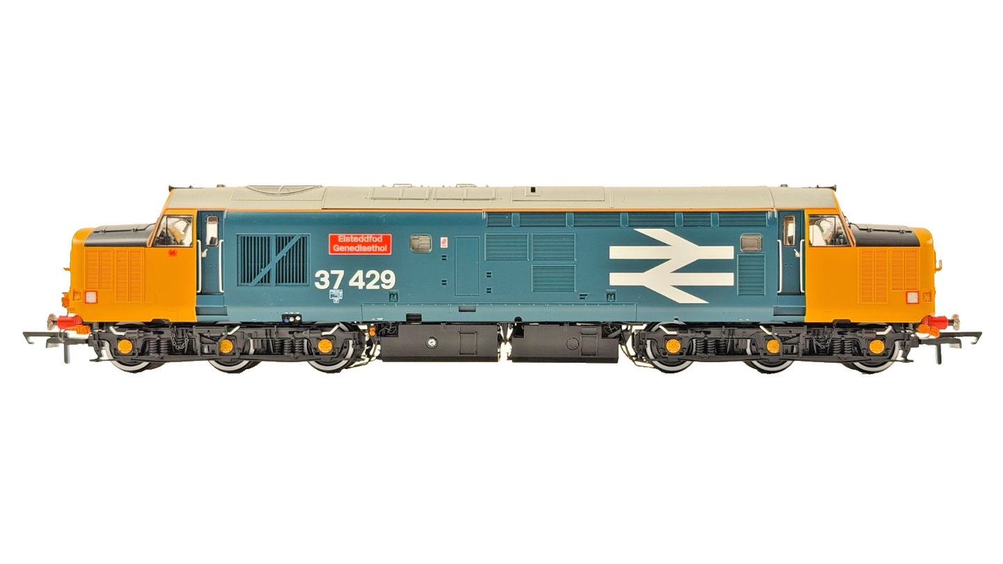 ACCURASCALE OO GAUGE - ACC3155 - CLASS 37 DIESEL 37429 LARGE LOGO BLUE LIVERY