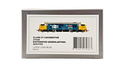 ACCURASCALE OO GAUGE - ACC3155 - CLASS 37 DIESEL 37429 LARGE LOGO BLUE LIVERY
