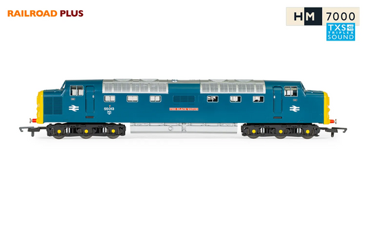 HORNBY OO GAUGE - R30049TXS - CLASS 55 DELTIC 55013 BLACK WATCH DCC SOUND NEW