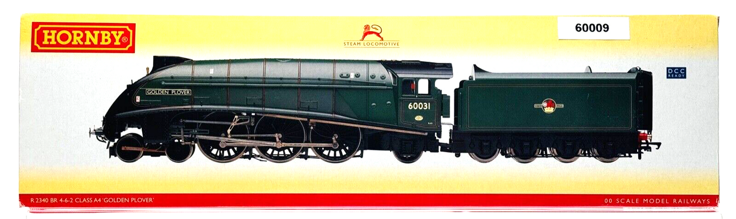 HORNBY 00 GAUGE - R2340 - BR CLASS A4 'UNION OF SOUTH AFRICA 60009 (RENAMED)